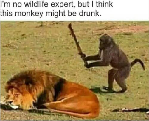 01:29:14 GMT-0400 (EDT)