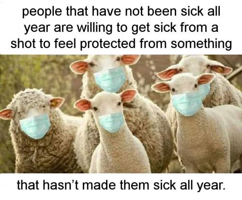 vaccine101