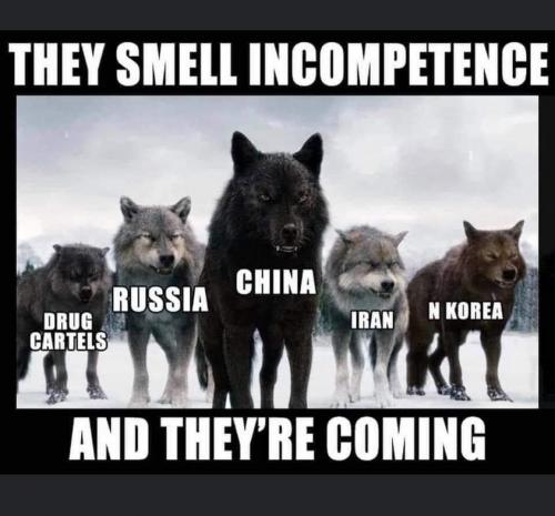 incompetence