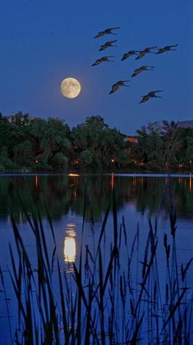 09:47:45 GMT-0600 (CST)