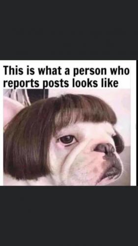 B7D0FE55-3380-4BE2-8468-4B0686813369