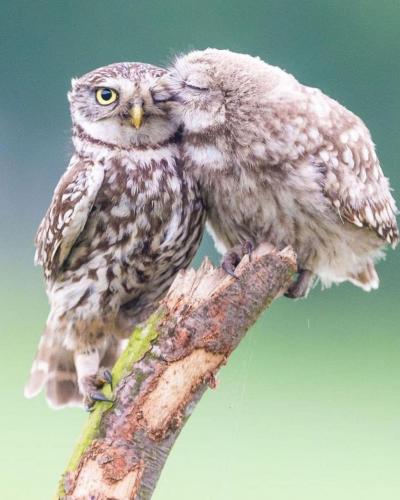 08:49:45 GMT-0500 (EST)