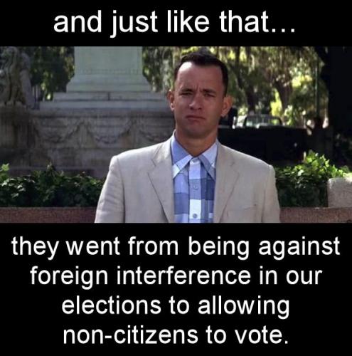voterfraud151