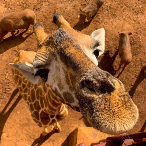 161174270_1533701463495865_8558990804018626325_n