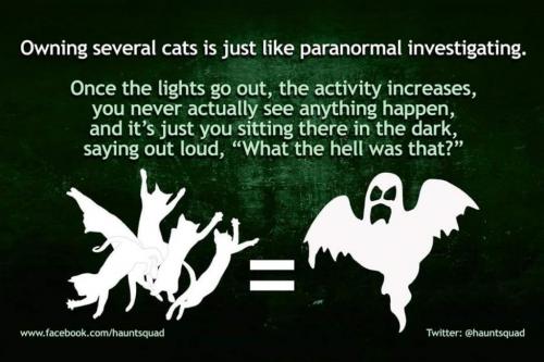 53020349_2092826804128750_684186134179217408_o