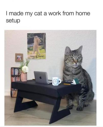 21:27:13 GMT-0700 (PDT)