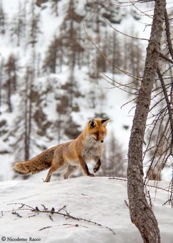 162546703_1537545113111500_7036086008274204525_o