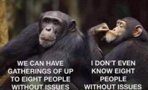 03:35:51 GMT-0500 (EST)