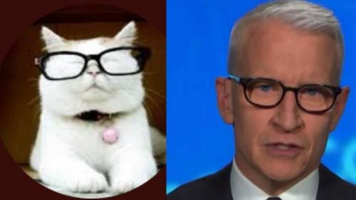 11:14:56 GMT-0500 (EST).image