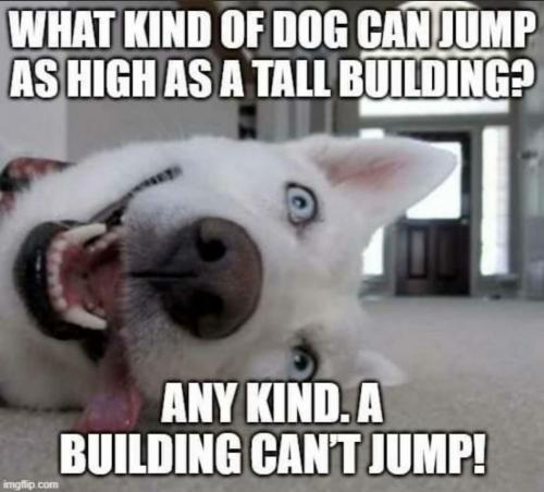 17:10:15 GMT-0400 (EDT)