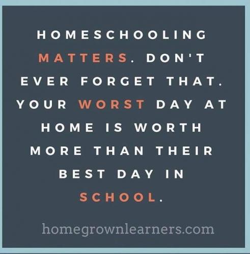 62383715_2443523742376028_5116144899598581760_n