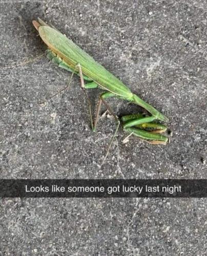 16:51:15 GMT-0500 (CDT)