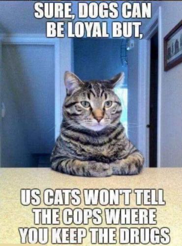 18:53:35 GMT-0500 (EST).image