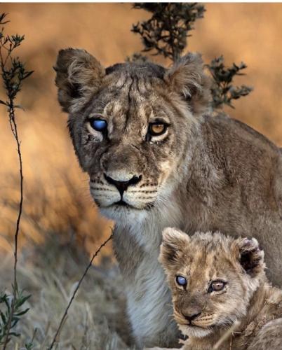 tumblr_f7fde7d20da097ed0ae6f1fa93565b50_0b86b8c0_540