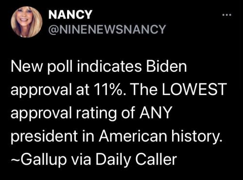 biden 11%