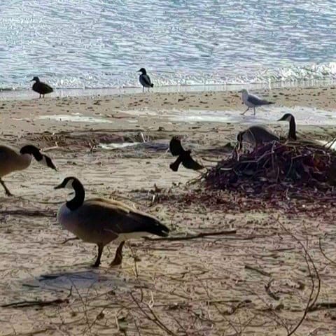 10:26:12 GMT-0500 (EST)