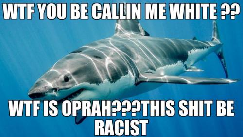 0B80C1D5-1D0C-43DE-AB92-EFEFD5B428A4