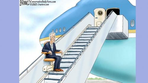 bidens-fall-cartoon