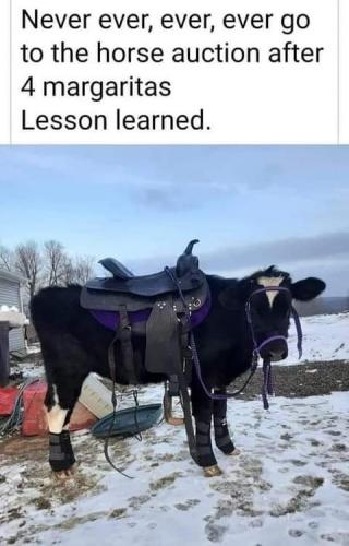 17:35:41 GMT-0800 (PST)