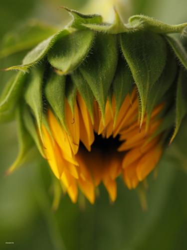 tumblr_e122754eb57b348d50dfd34b6cee8b35_33c2787c_540