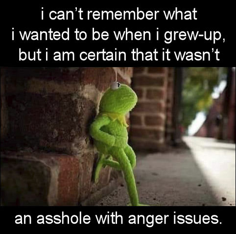 an asshole with anger issues00