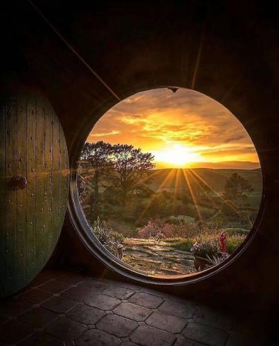 161113043_1821988794633991_6910738798792412854_o