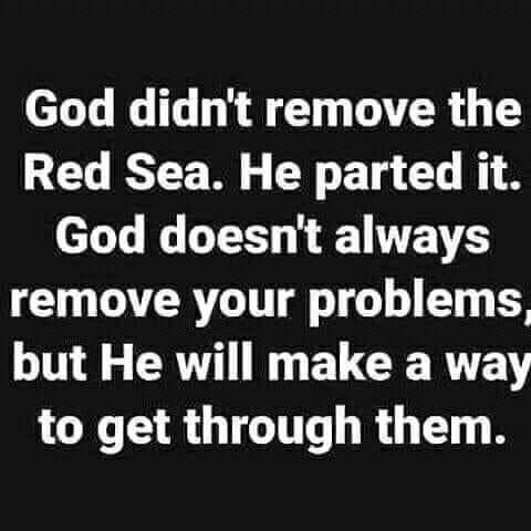 54E74A13-1B47-433A-ABB8-40915A3ECA0C