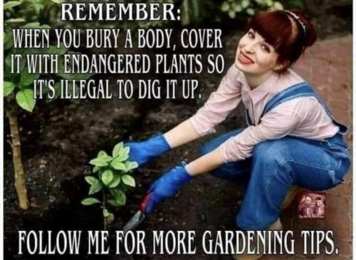 07:31:32 GMT-0500 (CDT).image