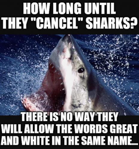 15:57:42 GMT-0600 (CST).image