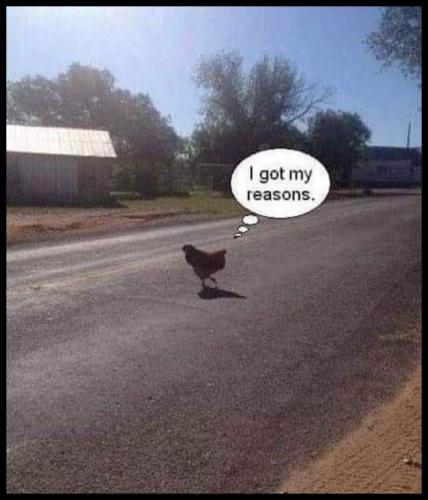 tumblr_2f1ecae7a310bc8de56b29d616d77c18_8b6fd889_540