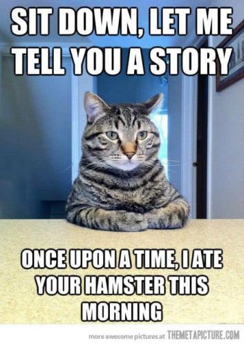 cats and hamsters