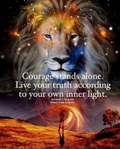 1E0E46B0-58BD-421C-9BD0-941DD94D90DD