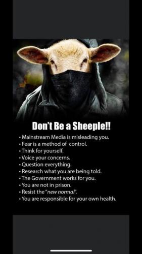 107386478_151913363132747_82963509132843187_n