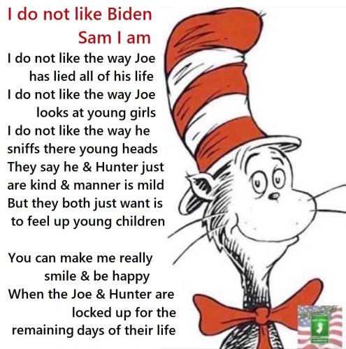 biden boys