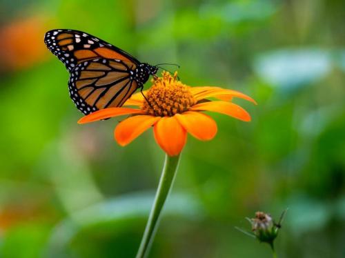 162340332_1535955973270414_7987570383685000293_o