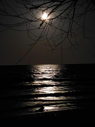 23:04:28 GMT-0400 (EDT)