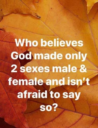 17:11:05 GMT-0500 (EST).image