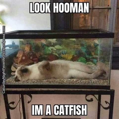 20:29:55 GMT-0700 (PDT)