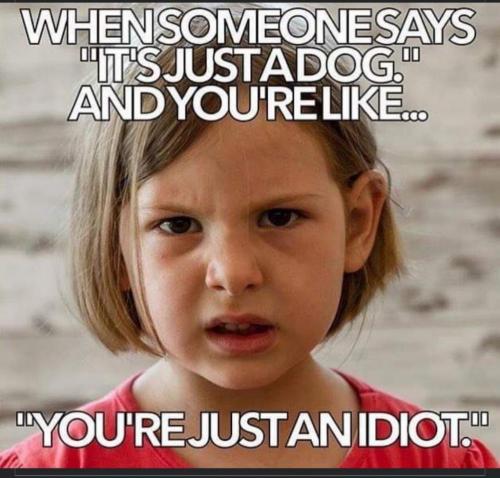 05:54:22 GMT-0600 (CST)