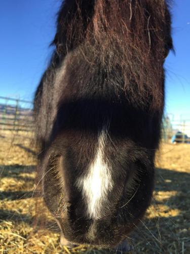 07:39:25 GMT-0800 (PST).image