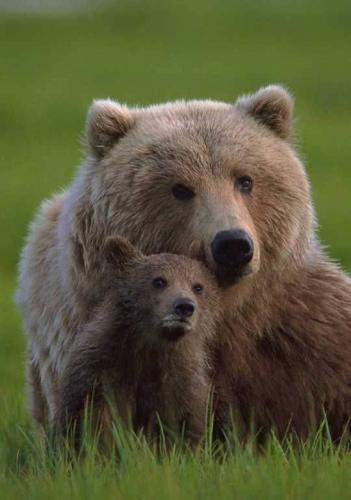 tumblr_4c8a461ef78d8370cb598eb3088b6eb4_7ce776e2_540