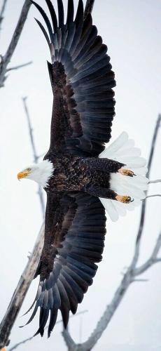 tumblr_093e61a520e66dfb6303121143f26b4b_19f22d0c_1280