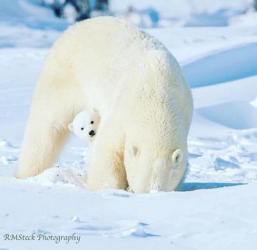 163017298_1826461820853355_5441328722201271528_n