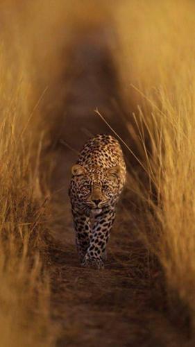 160926736_1533701530162525_4469219567108519544_o