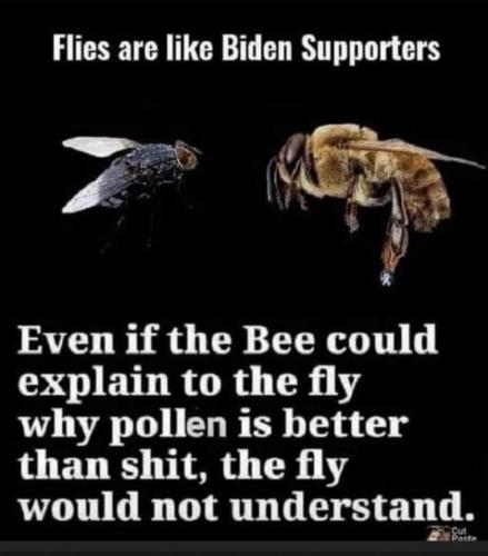 23:28:38 GMT-0700 (PDT).image