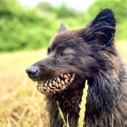 01:56:48 GMT-0500 (CDT)