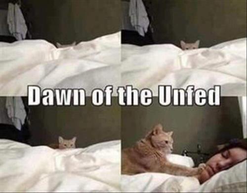 19:23:04 GMT-0500 (EST)