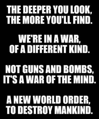 NWO38