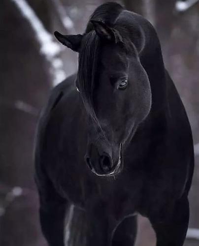 161745720_1823076034525267_8075442758568483578_n