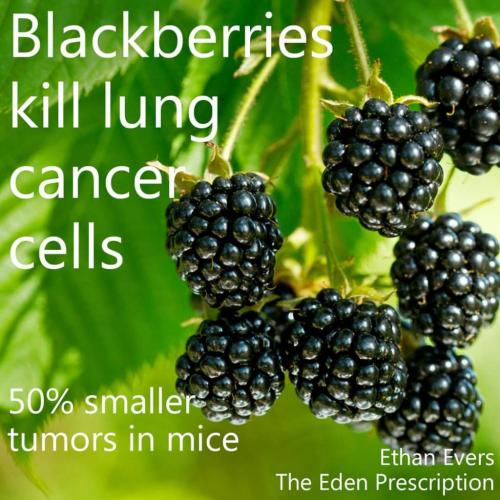 11:15:51 GMT-0600 (MDT)